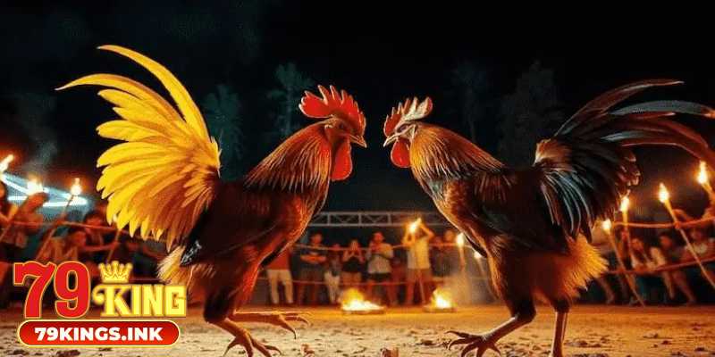 Mẹo hay khi cá cược đá gà cựa sắt hiệu quả